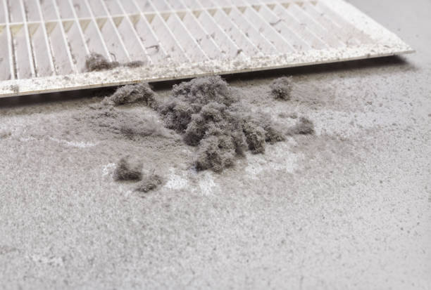 Best Ductwork Cleaning Services  in Clayco, MO